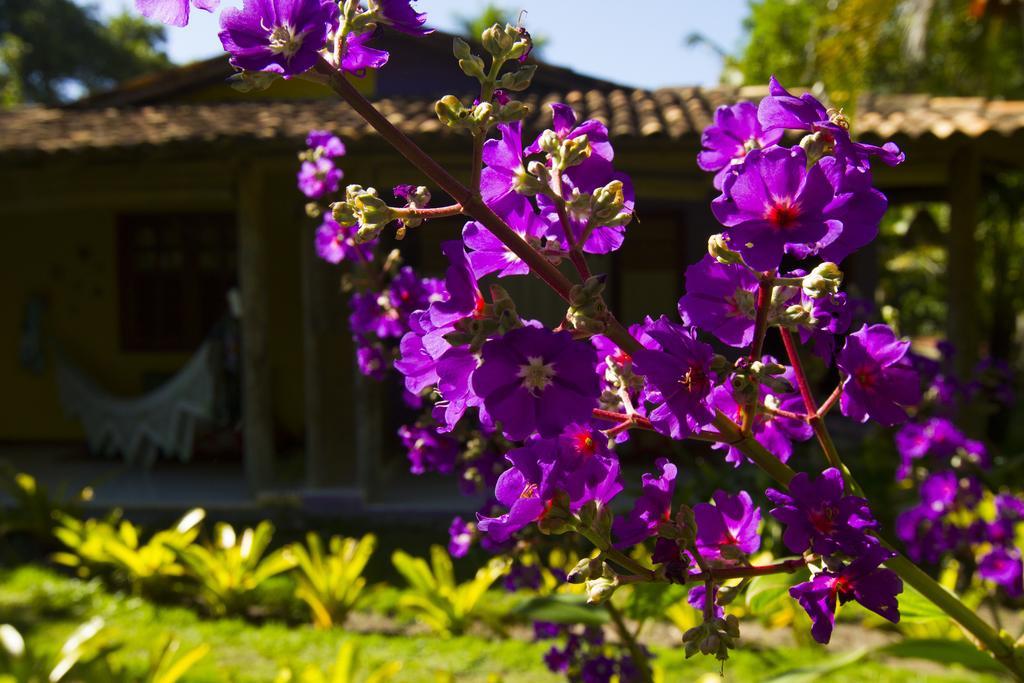 Pousada Casinhas Da Bahia Caraíva Zewnętrze zdjęcie